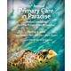 21st Annual Primary Care in Paradise